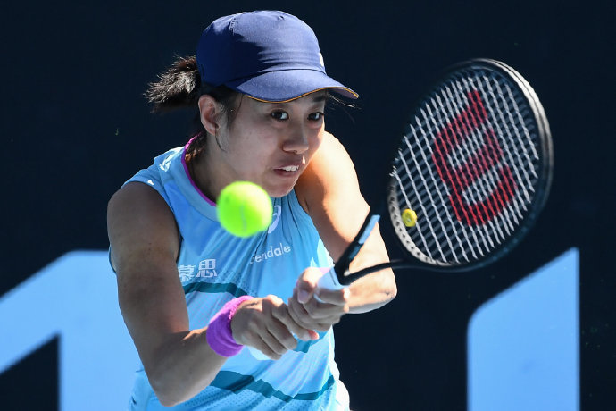 员个人的嘉 员个人的嘉