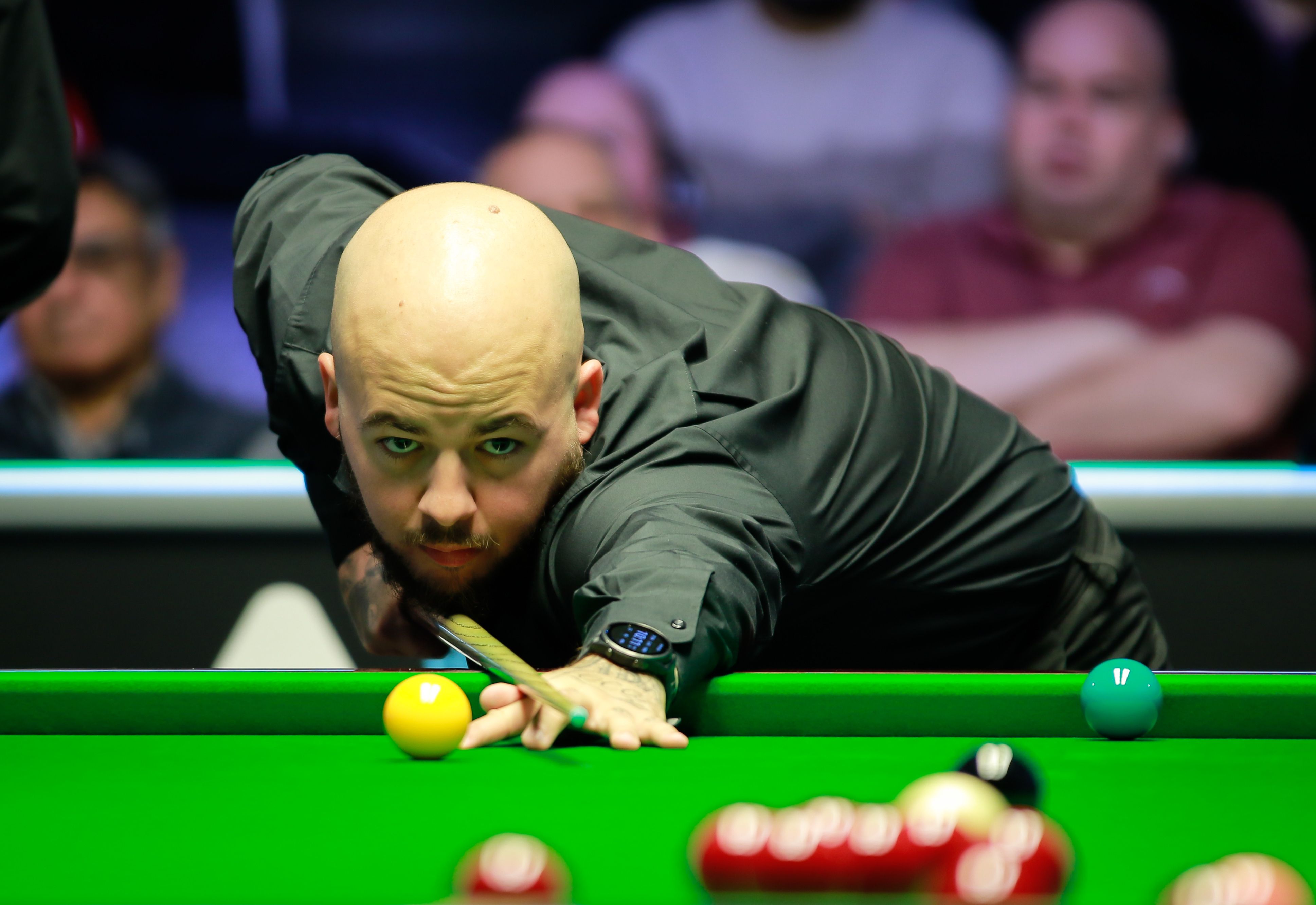 他们能够在 他们能够在